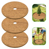ZeeDix coconut fiber mulch ring on a young tree, promoting tidy roots and weed suppression.