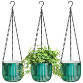 ZeeDix self-watering hanging planters with visible water level on a wall.