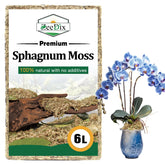 Zeedix Sphagnum Moss brick before hydration, convenient for storage.