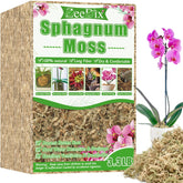 ZeeDix sphagnum moss brick dry shows compact form for easy storage and handling.