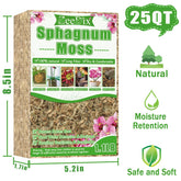 ZeeDix moss dried bundle ready for soaking before use