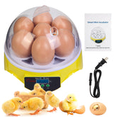 ZEMIRO CHARGE 7-Egg Incubator 360° view enables immersive, hands-on family learning.
