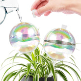 ZephyrBloom 13oz globe shows large capacity for steady plant hydration at home.