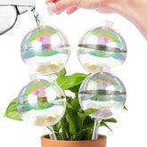 ZephyrBloom 13oz glass watering globe in full view providing steady hydration for indoor plants