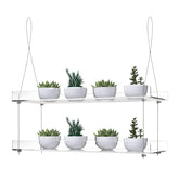 ZerzSemp 2-tier acrylic window shelves maximize light for herbs and greenery.