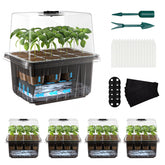 ZHOLAH self-watering seed starter trays with dome for effortless moisture control and steady sprouting.