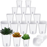 Ziliny self-watering pots group—perfect for versatile indoor plant setups.