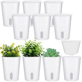 Ziliny self-watering pot with visible water window for moisture monitoring.