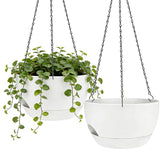 zople 8-inch self-watering hanging planter set front view for stylish indoor greenery