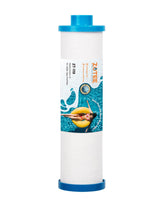 ZOTEE Filbur FC-3128 spa filter with hose adapter for quick water connection