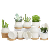 ZOUTOG 12-pack 2.6-inch ceramic pots with drainage for healthy watering