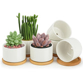 ZOUTOG ceramic succulent pot with drainage hole for easy watering control.