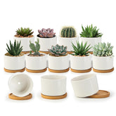 ZOUTOG succulent pots 3.1 inch with drainage for indoor plants