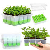 ZSYWODFO seed starter tray 5-pack with 60 cells supports efficient indoor seed starting.