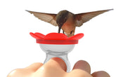 ZUMMR Hummingbird Ring Feeder red on finger for intimate backyard feeding.