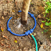 ZZM 360° tree water ring around a young tree providing targeted root irrigation.