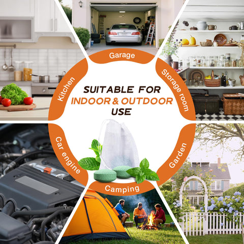 24-pack Rodent Repellent storage keeps kits organized and accessible.
