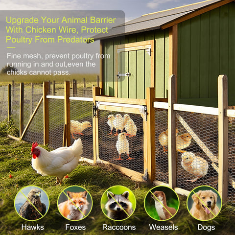 24 Rifny chicken coop fencing setup demonstrates easy shaping.
