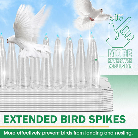 3 BUZZLETT bird spikes closeup of clear PVC material for durability.