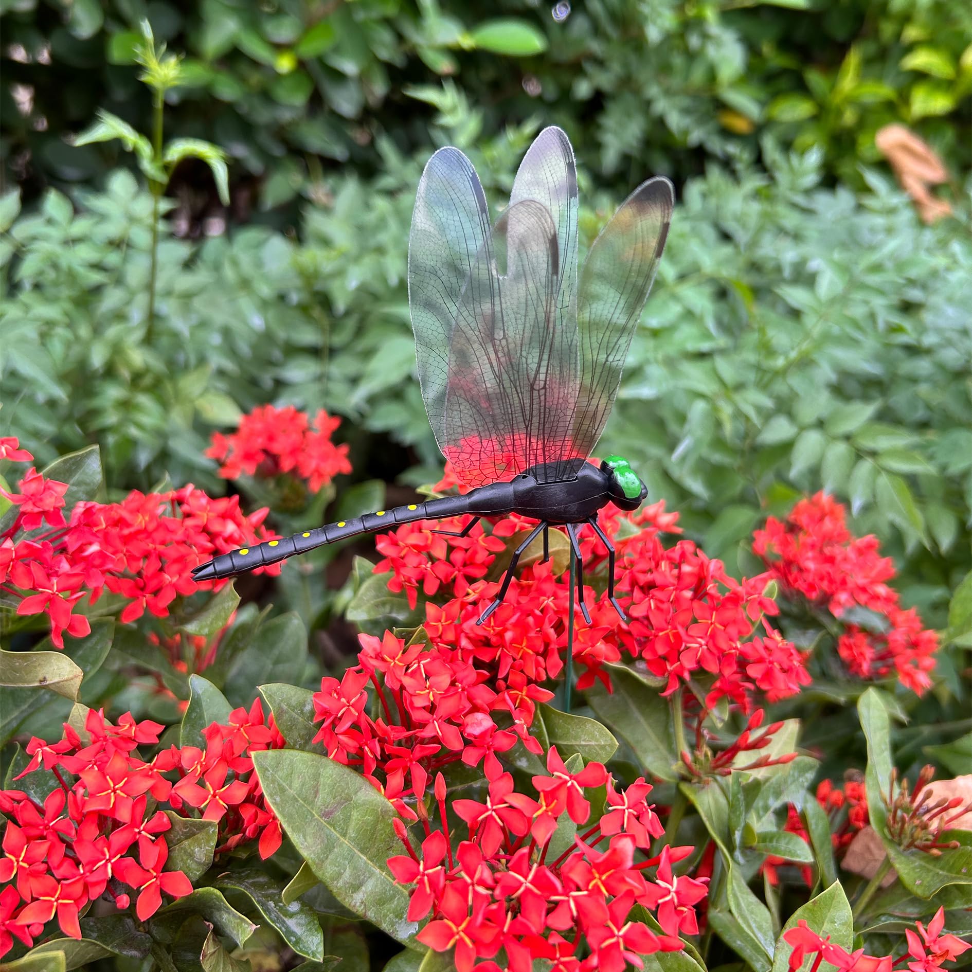 3DVOLTMATE clip-on dragonflies with rust-proof clamp for quick outdoor attachment.