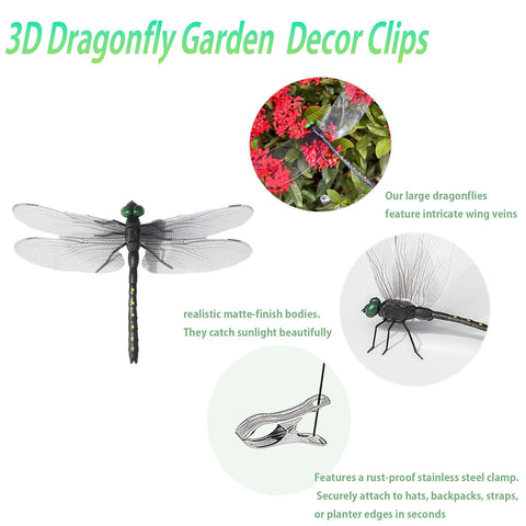 3DVOLTMATE garden-path dragonfly accents line walkways with visual focal points.