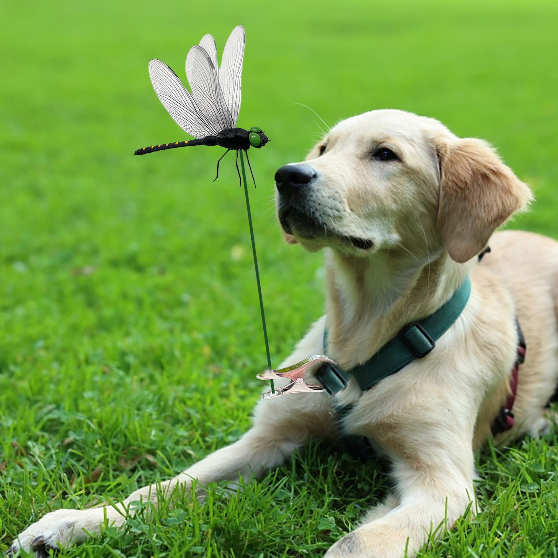 3DVOLTMATE green metal stake anchors the dragonfly sculpture securely.