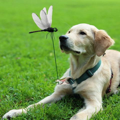3DVOLTMATE green metal stake anchors the dragonfly sculpture securely.
