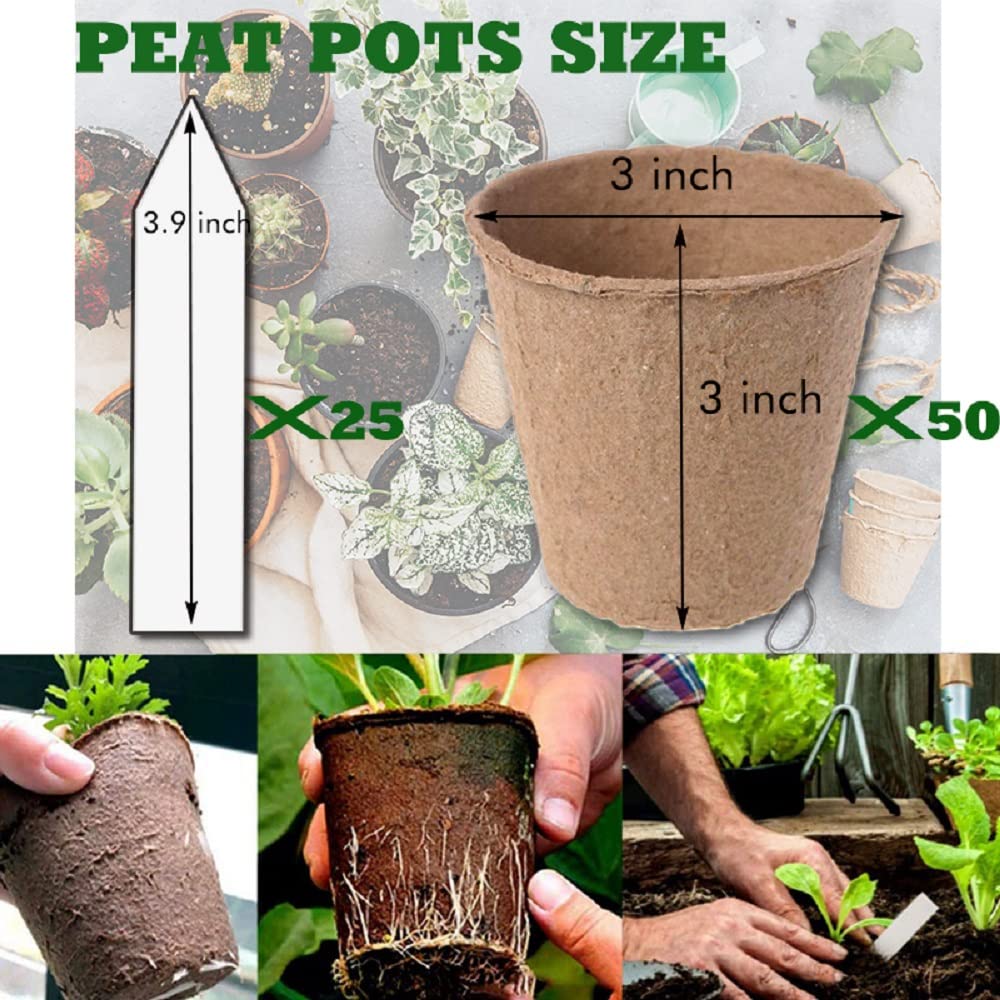 Close-up of compostable seedling cups by 3T GROUP