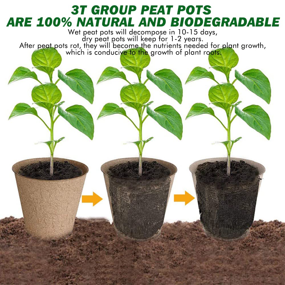 3T GROUP mini peat pots with 25 labels for organized planting
