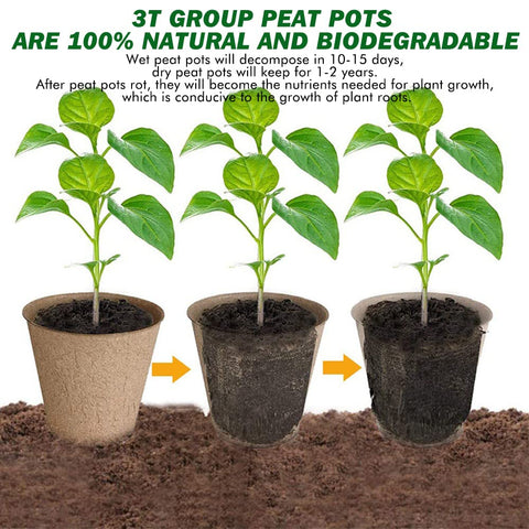 3T GROUP mini peat pots with 25 labels for organized planting