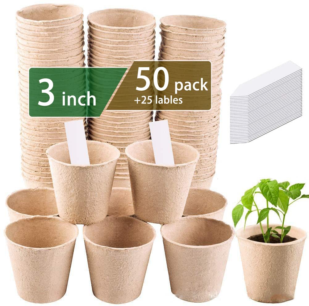3T GROUP small plant pots arranged in a 50-pack for seed starting