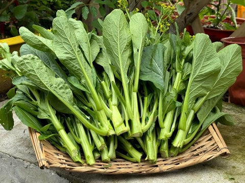 4000 Organic Choy Sum leaves and stems ready for stir-fries