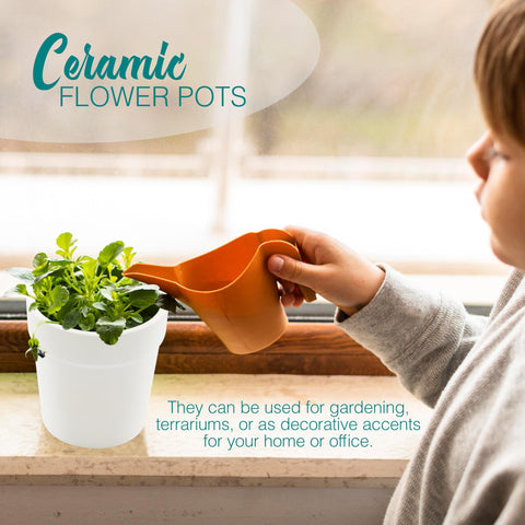 4E's Novelty pot with a sleek matte finish adds elegance to any space.