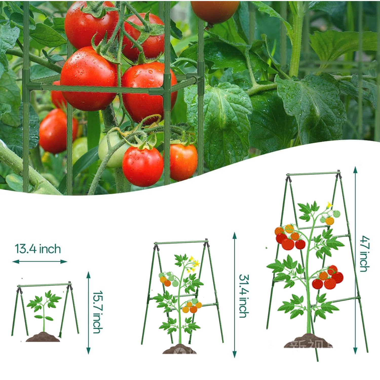 7Queen A-Frame connectors enable easy size modification for climbing crops.