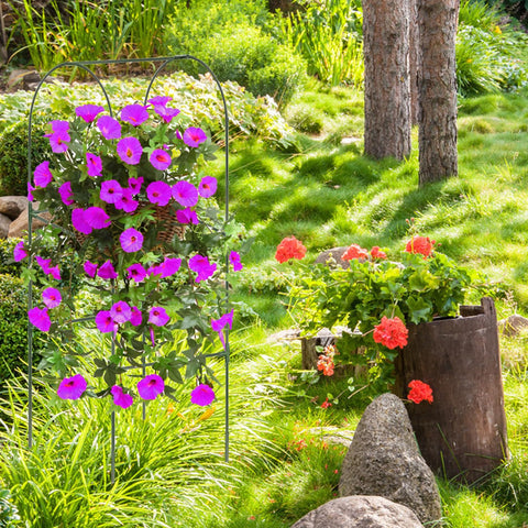7Queen equal tees and cross connectors provide stable installation for climbing plants.
