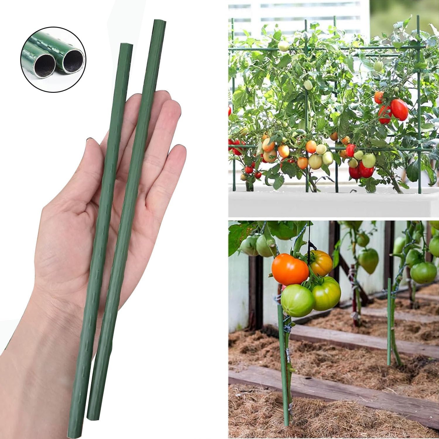 7Queen tomato-support setup demonstrates practical use for vines