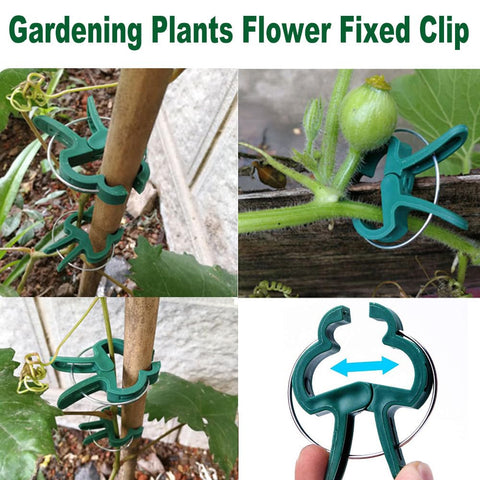 7Queen multipurpose plant clip offers versatile garden use with various supports