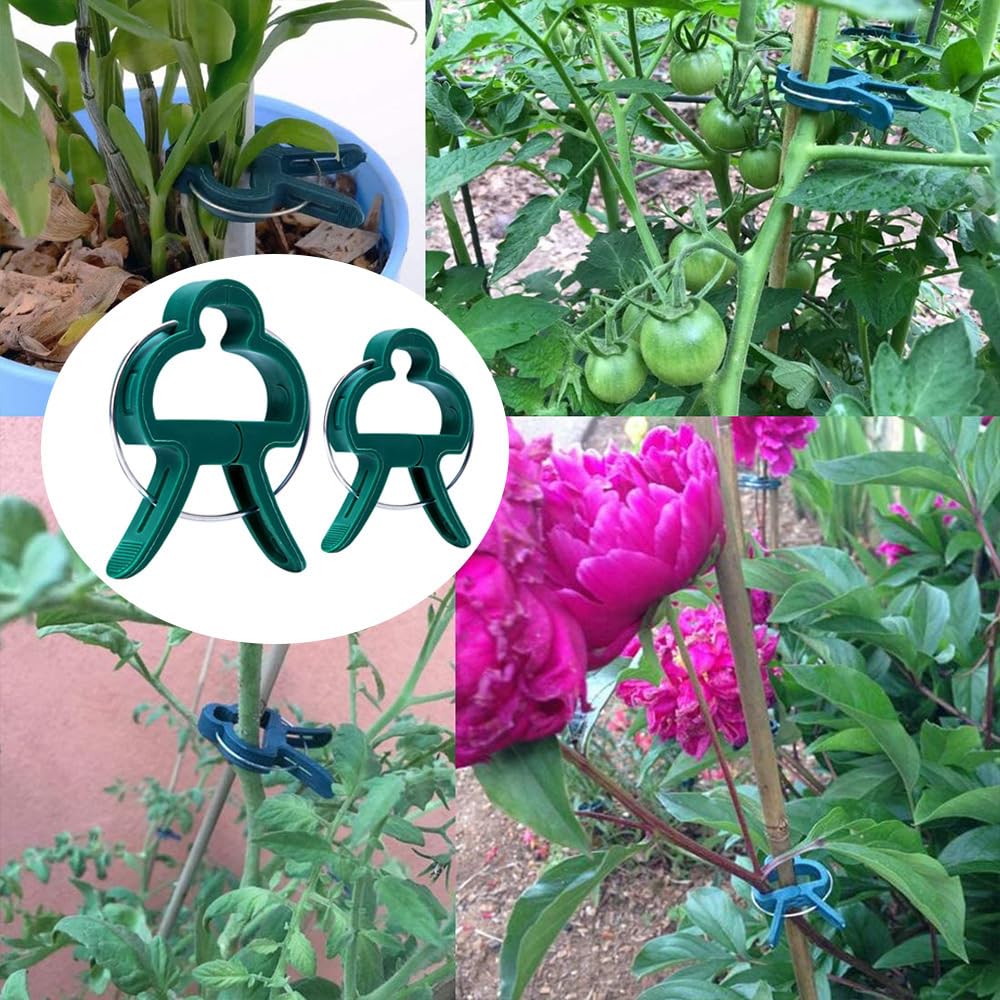 7Queen stem-support clip helps keep vines upright in windy conditions