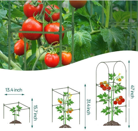 7Queen wide-application trellis suitable for vegetables, fruits, and flowers indoors or outdoors.