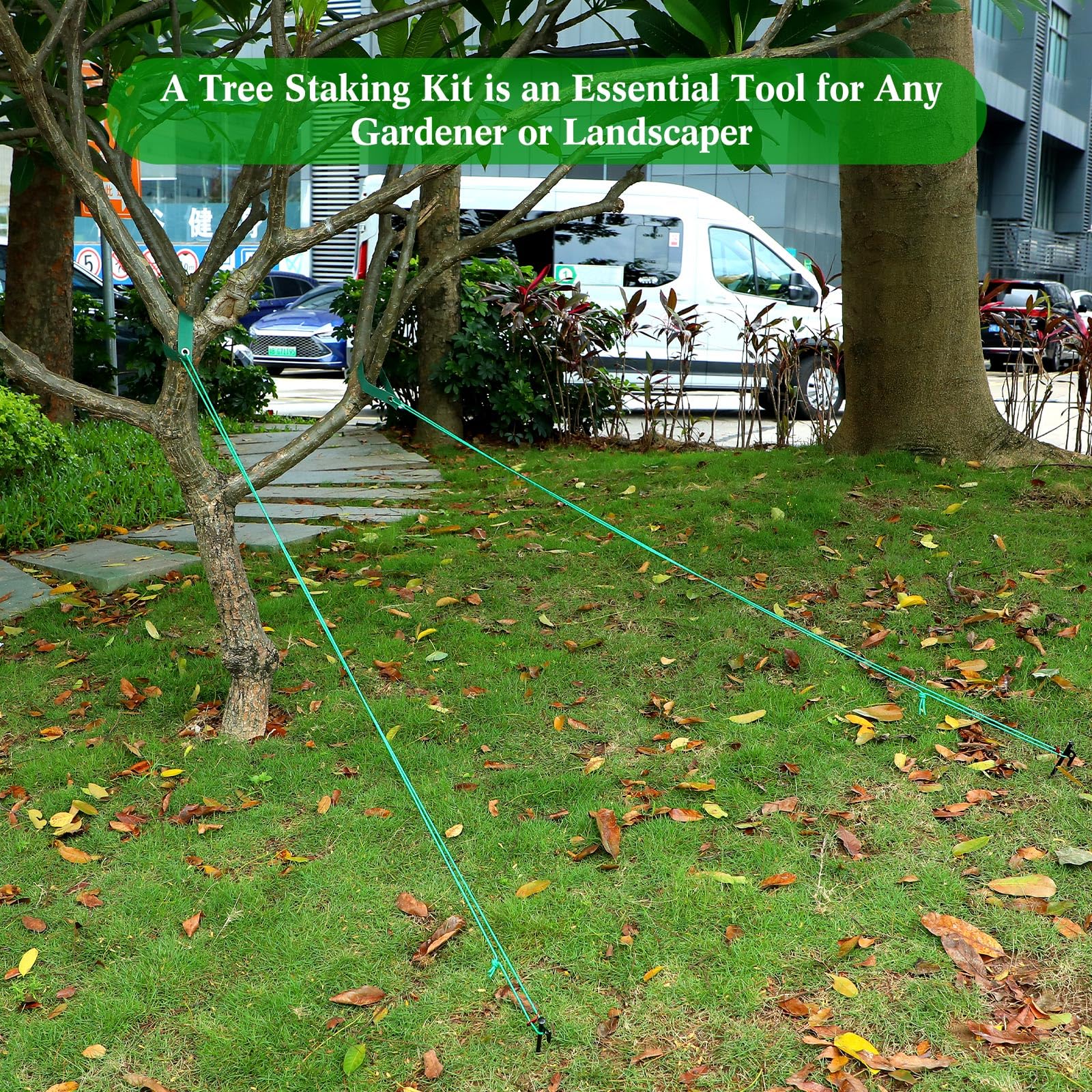 Sintuff garden application shows versatile plant support and staking use