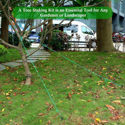 Sintuff garden application shows versatile plant support and staking use