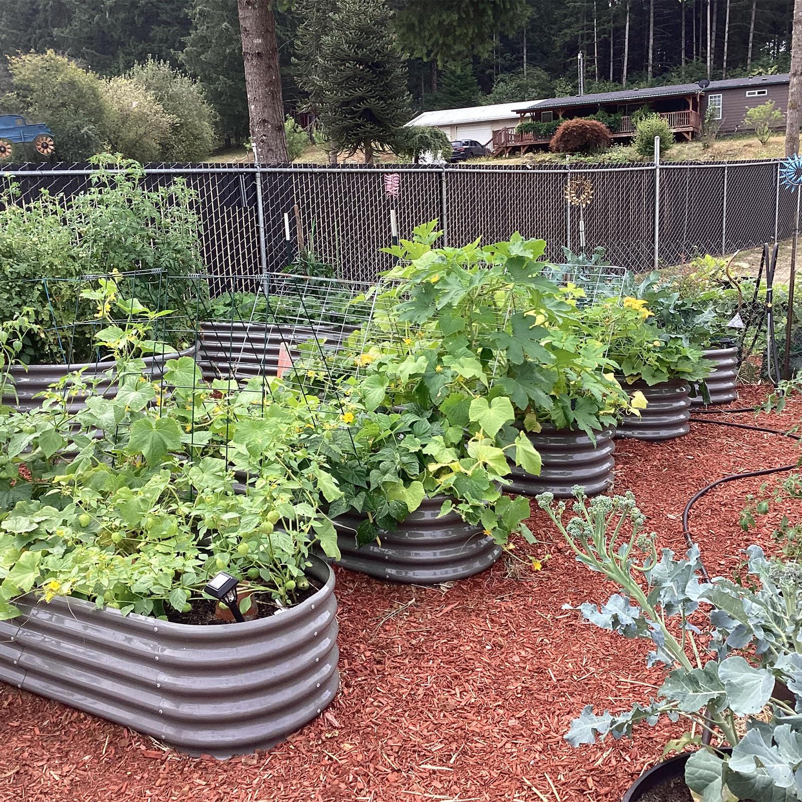 A ANLEOLIFE galvanized planter box with rugged steel for long-lasting performance