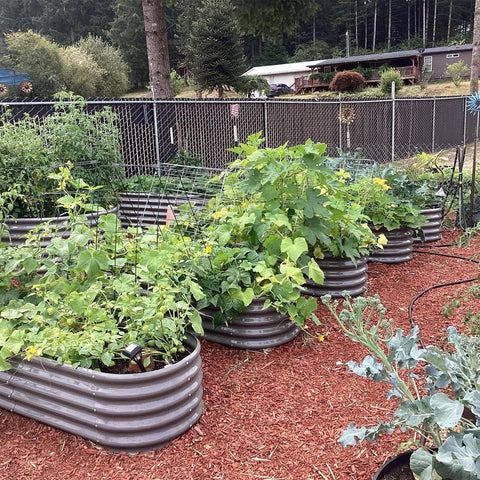 A ANLEOLIFE galvanized planter box with rugged steel for long-lasting performance
