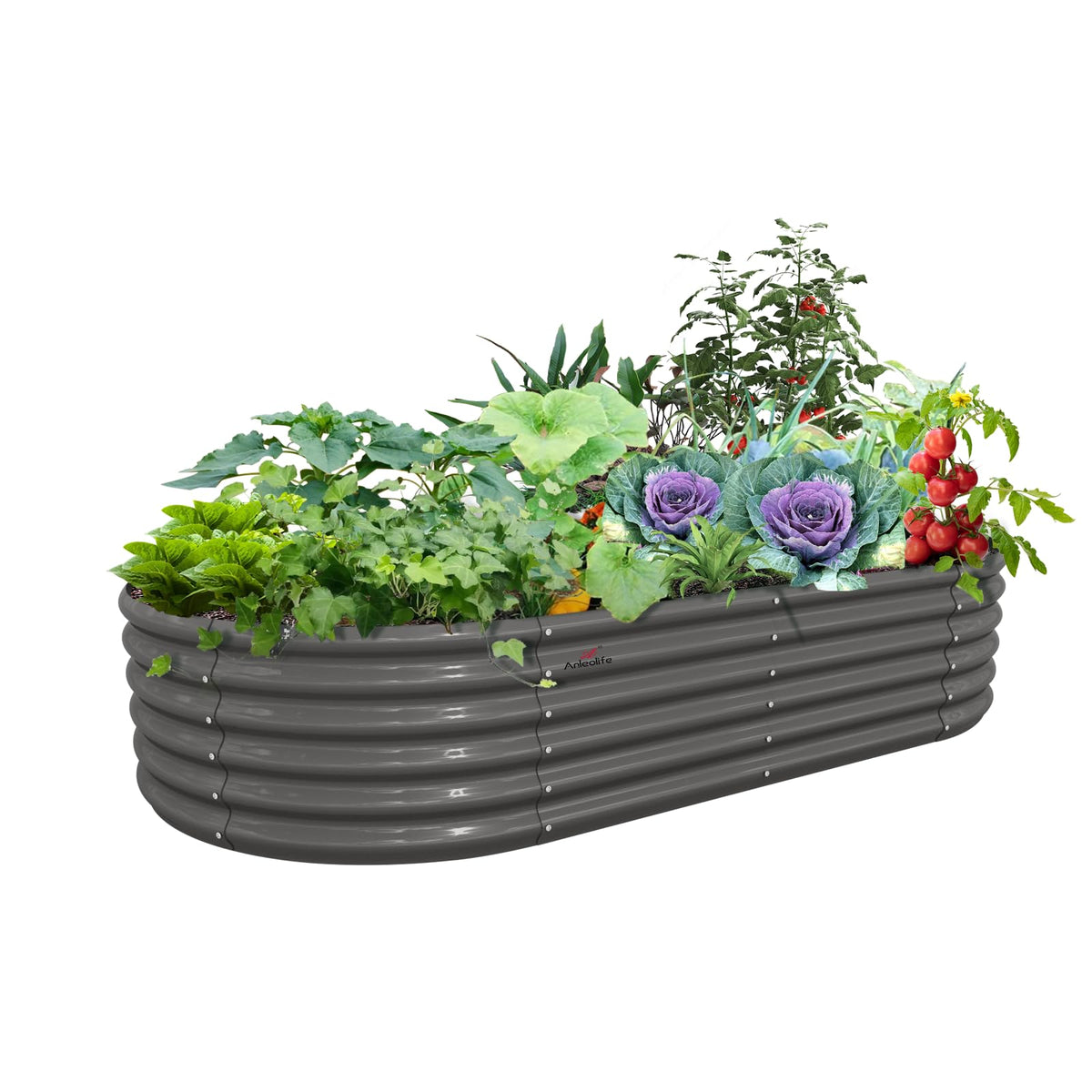 A ANLEOLIFE oval galvanized raised garden bed for durable outdoor planting