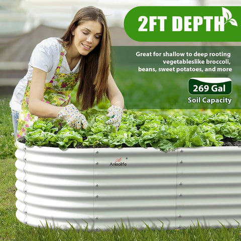 Clear packaging and setup guide for A ANLEOLIFE bed