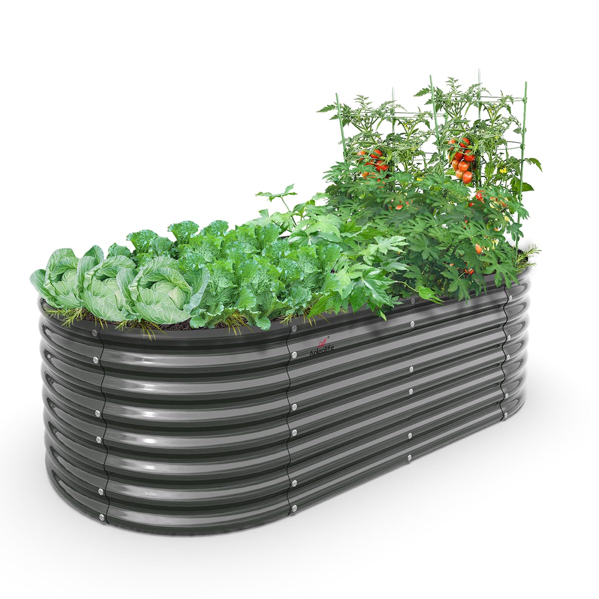 A ANLEOLIFE oval galvanized raised bed front view ideal for vegetables and flowers