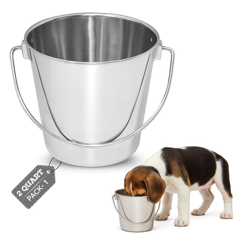 AASPIRE PETS 2-quart stainless steel bucket with handle for durable feeding and easy transport.