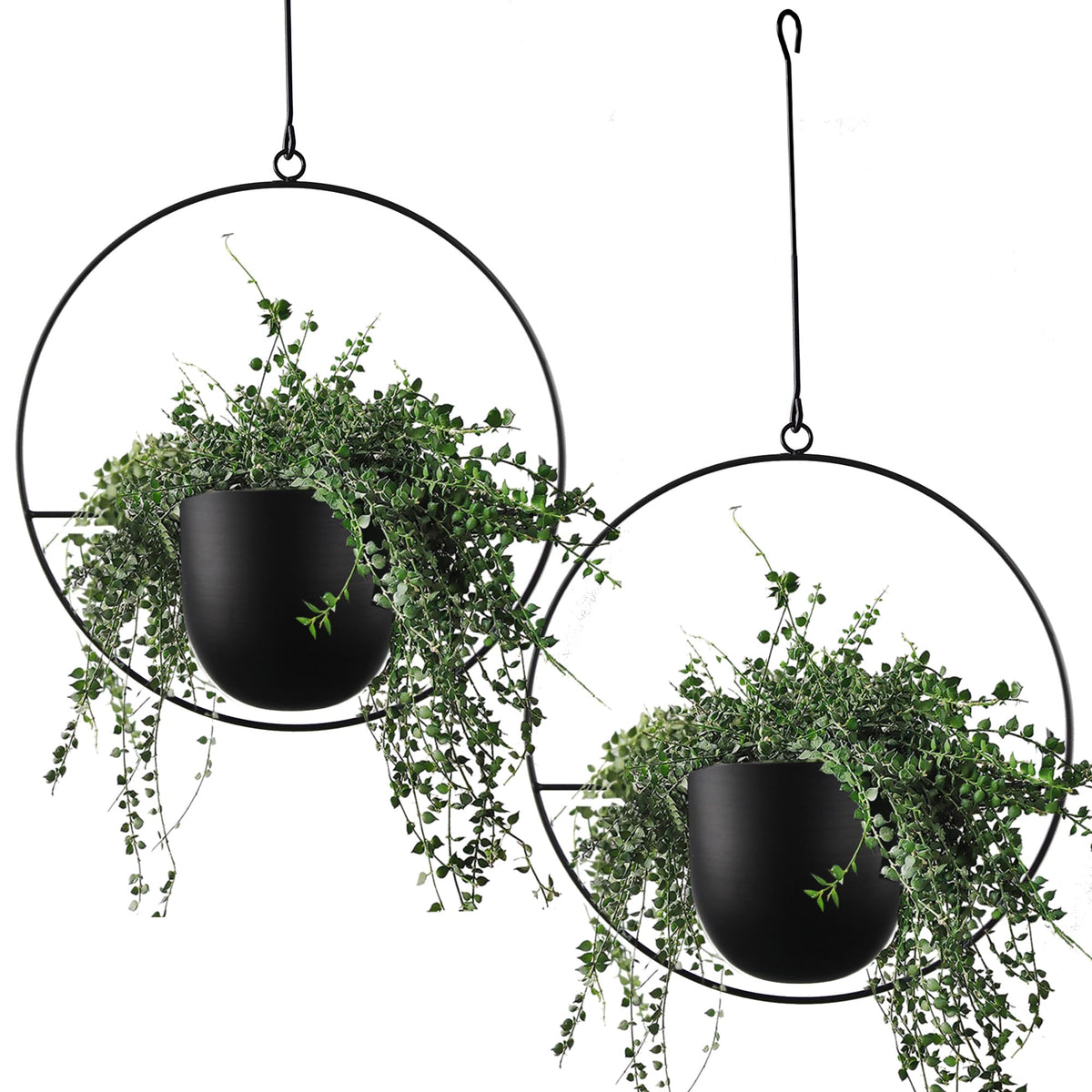 ABETREE 2pc hanging planters on wall for stylish space-saving decor.