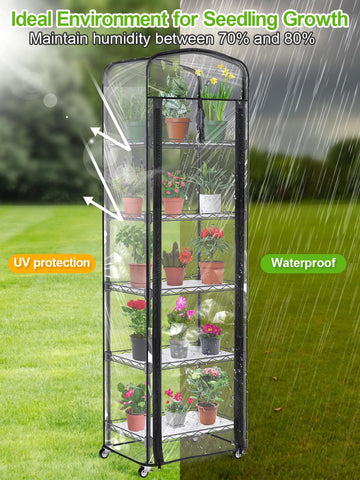 Abimars 5-Tier Mini Greenhouse interior with seedling pots thriving in a controlled humidity environment