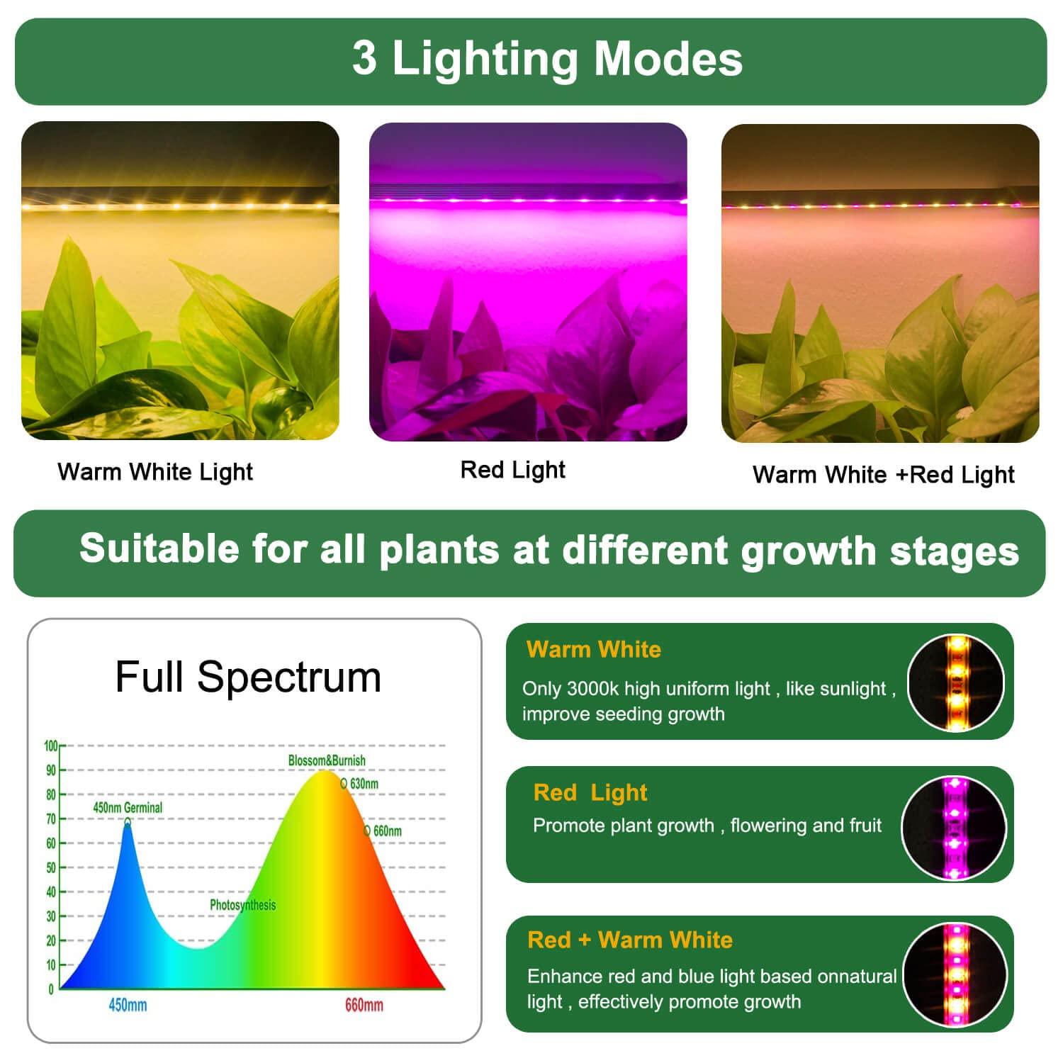 Abonnyc grow light strip shown with mobile app control for schedules